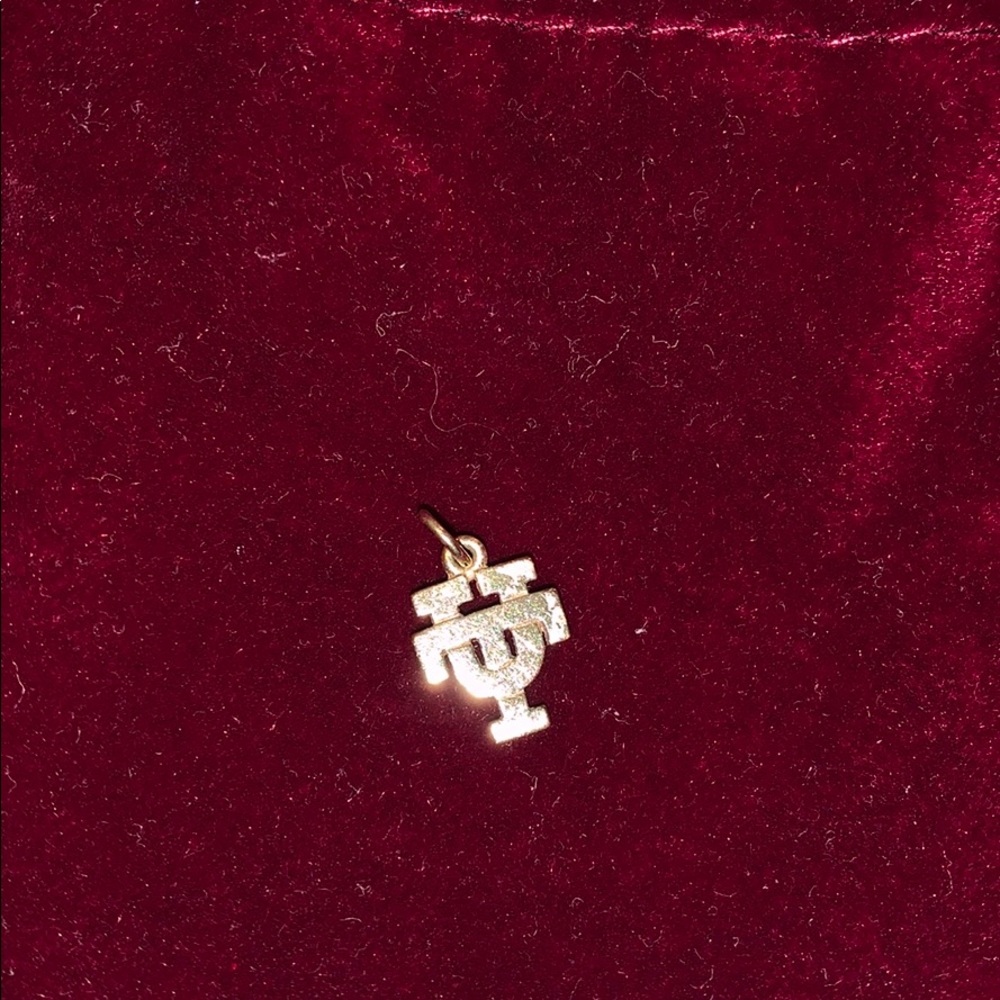 Longhorn charm